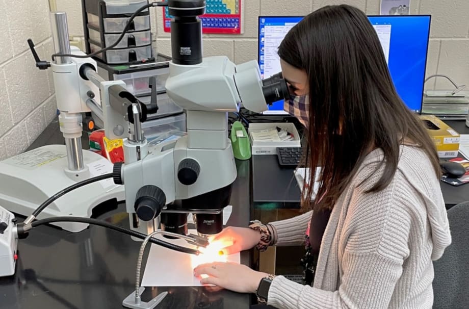 A GBI trace evidence scientist uses a microscope to view paint samples.[|CREDIT|]PHOTO: GBI
