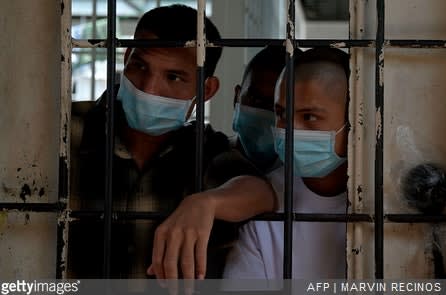 International Organized Crime and COVID-19 Response