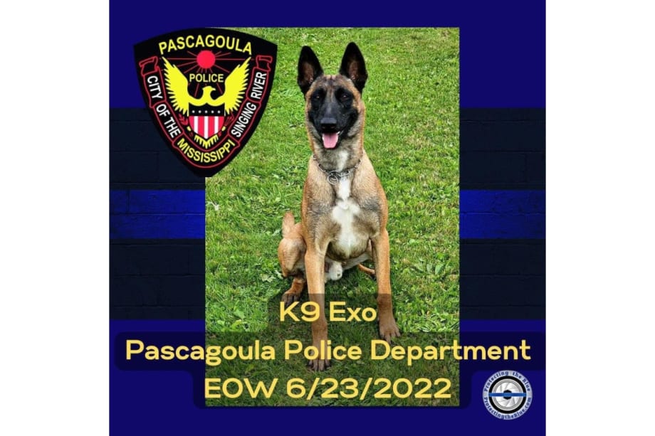 MS Police K-9 Shot and Killed while Tracking Suspect