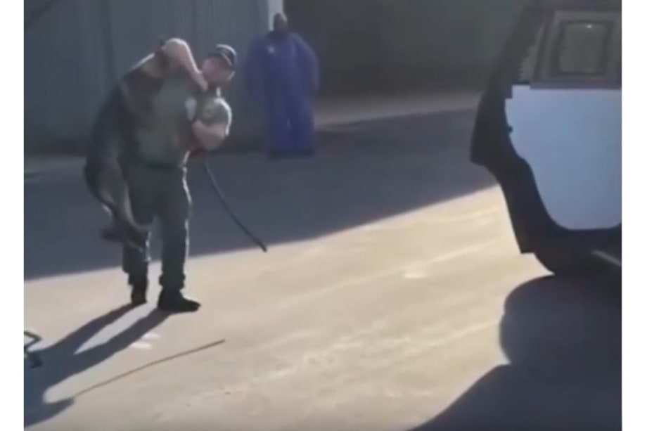 NC Officer Resigns After Investigators of K-9 Training Video Recommend Termination