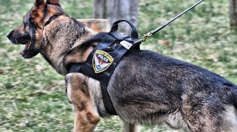 Delaware Department Mourns Death of Retired K-9