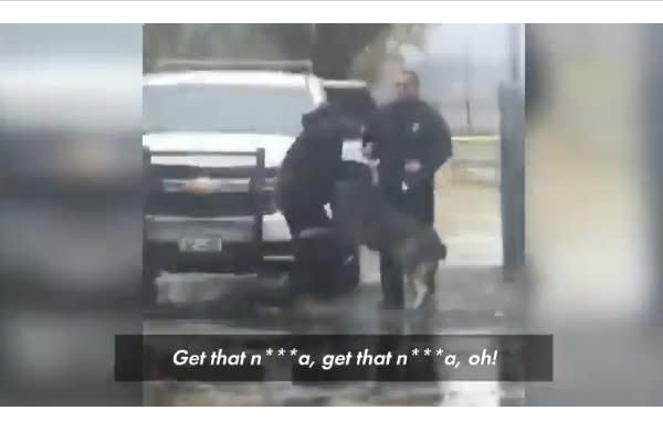 Video: K-9 Helps Take Down Assailant Who Punched Officer in Face
