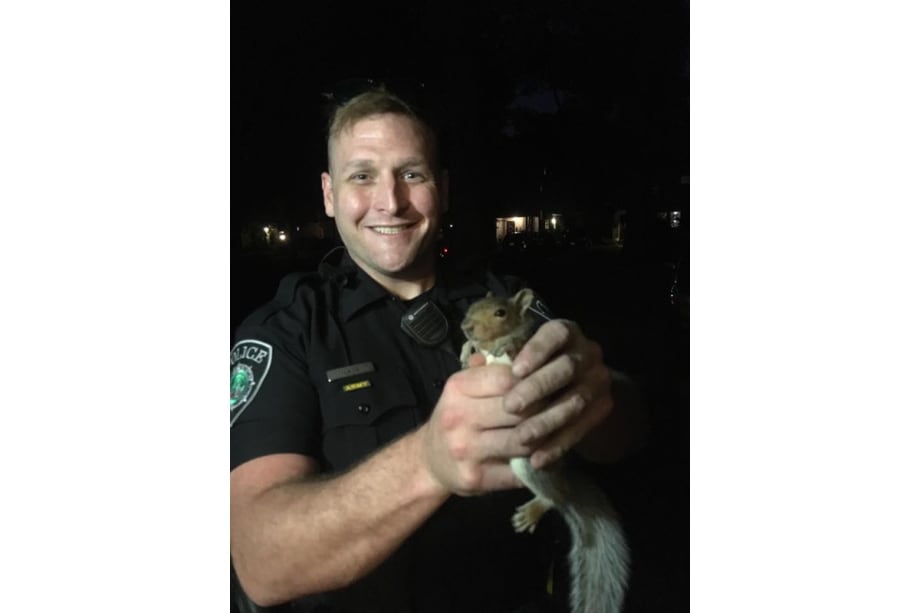 Virginia Officer Called to Remove Squirrel Trapped in Chimney