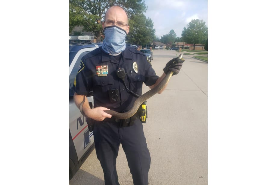Texas Officer Dubbed "Snake Charmer" After Rescuing Reptile