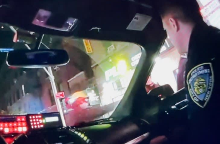 Man Convicted of Stabbing Cop in 2008 Arrested in Assault on NYPD Officer, Freed Without Bail