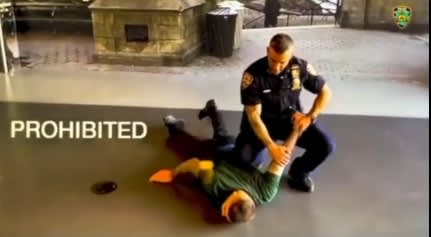 Martial Arts Master Warns New NYPD Arrest and Control Rules are Dangerous for Officers and Arrestees