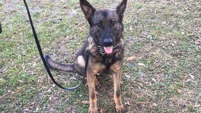 FL K-9 Killed During Tuesday Shootout