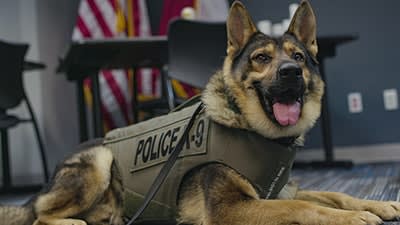 Texas Department Gets Gift of Protective Vests for K-9s