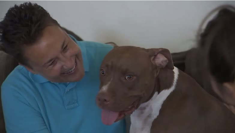 Phoenix PD Unit Dedicated to Investigating Crimes Against Animals