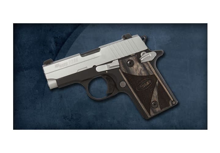 SIG Introduces .380 Subcompact Pistol