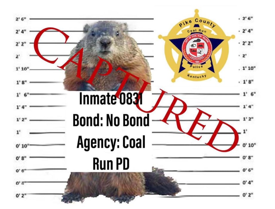 Kentucky Police "Arrest" Punxsutawney Phil for Fraud and Unsworn Falsification