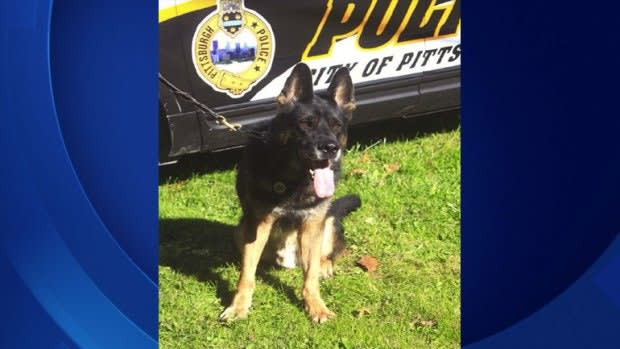 Updated: Stabbed Pittsburgh K-9 Succumbs to Wounds