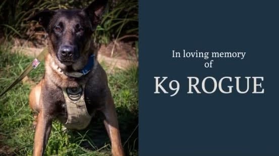 TX K-9 Dies from Medical Emergency