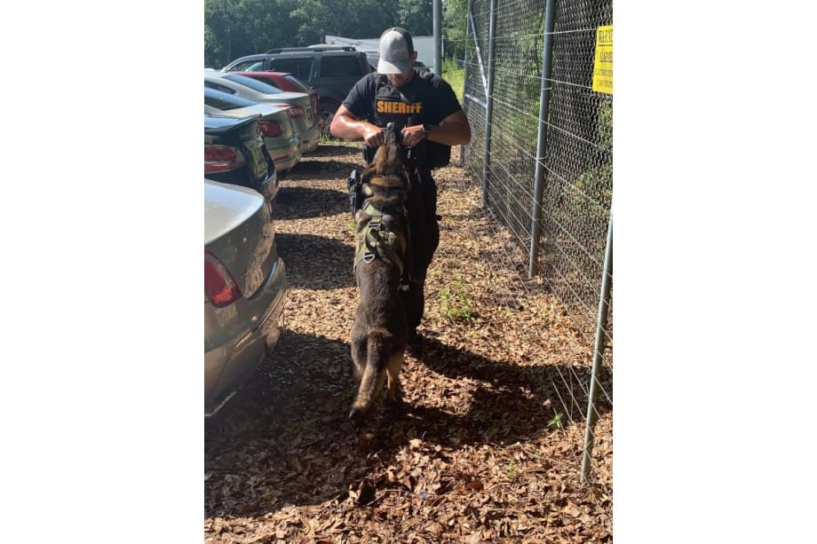 SC Deputies Ambushed, Suspect and K-9 Killed in Gunfight