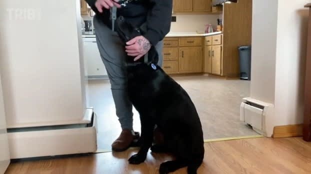 Veteran and His Puppy Help PA Police Capture Suspect in Attack on Officer