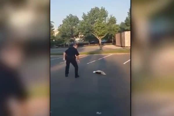 Massachusetts Officer Rescues Skunk—Gets Sprayed in the Process