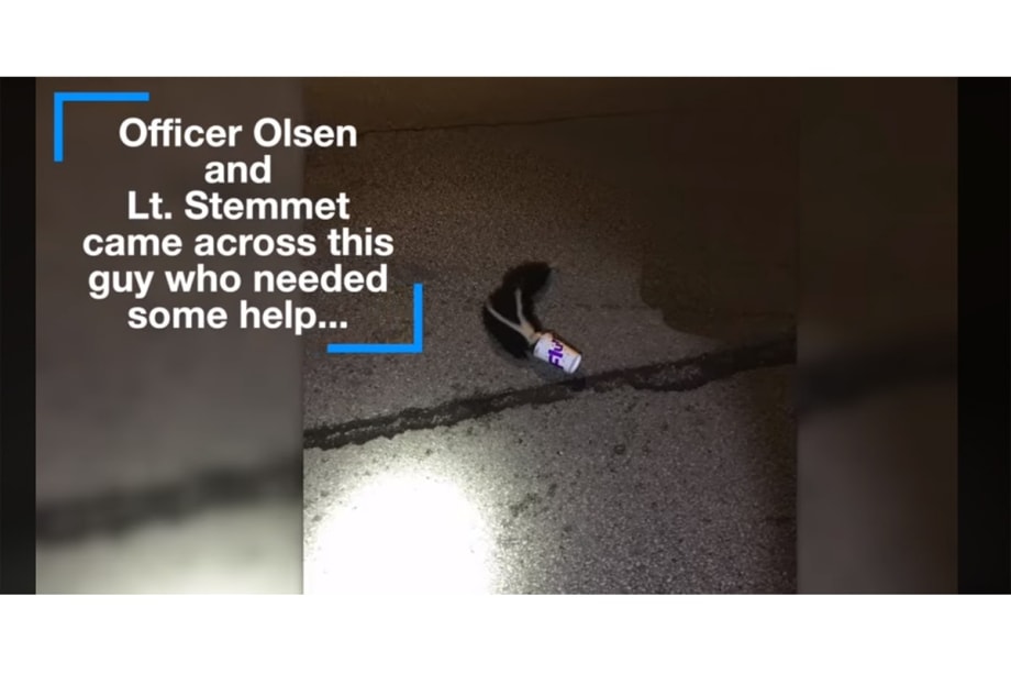 Illinois Officer Comes to Aid of Skunk With Cup Stuck on its Head