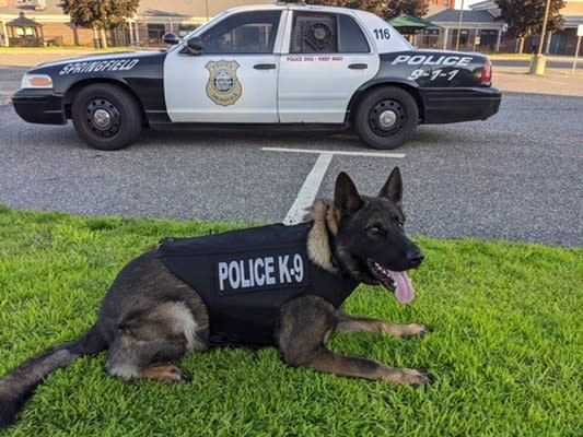 Massachusetts Department Receives Donation of Protective Vests for K-9s