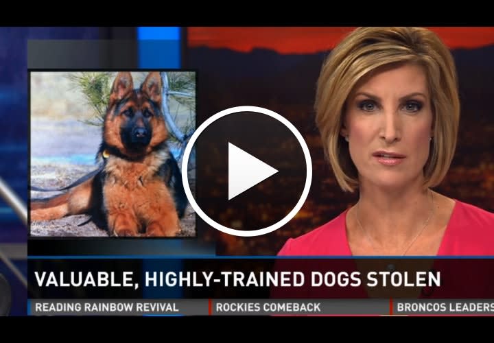 Video: 3 Law Enforcement Trained Dogs Stolen From Facility