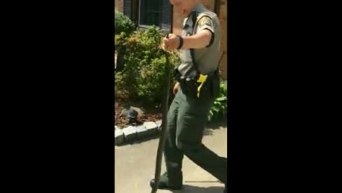 Video: Virginia Officer Captures Snake in Residential Backyard