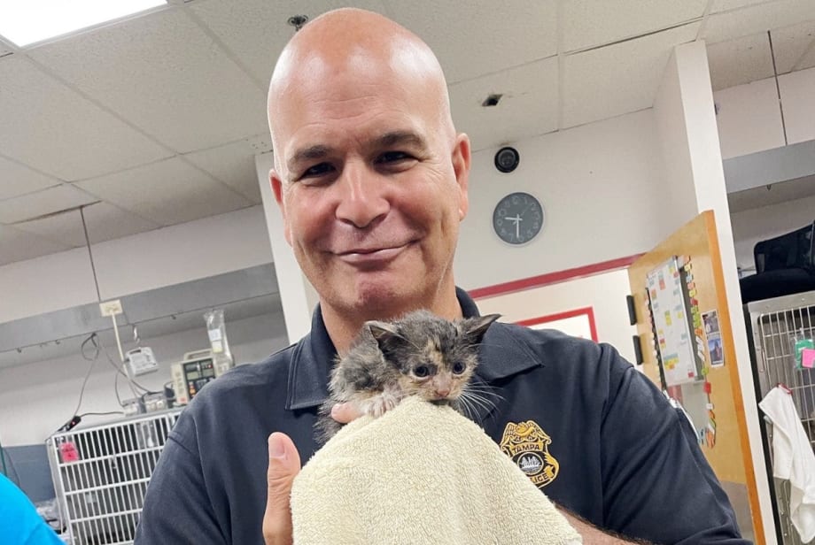 Tampa Officers Rescue Kitten as Hurricane Ian Hits Florida
