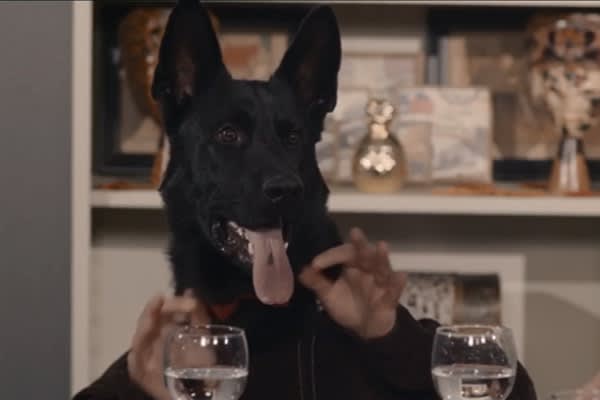 California Sheriff's Office Releases Thanksgiving Video Starring K-9s
