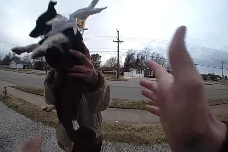Woman Throws Puppy at Oklahoma Officer