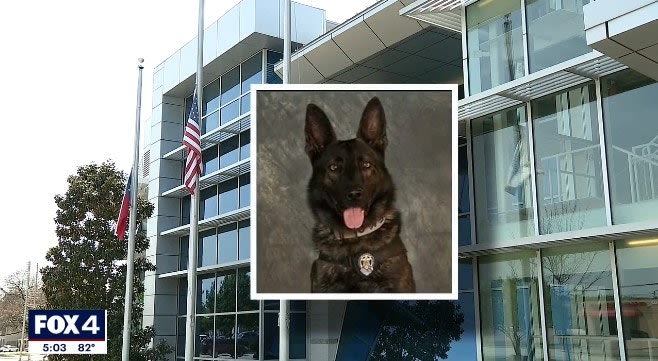 Texas K-9 Dies During Search for Felony Suspects