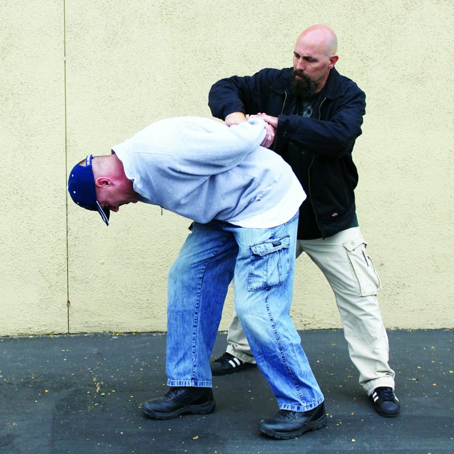 Cloth Handles for Arrest and Control