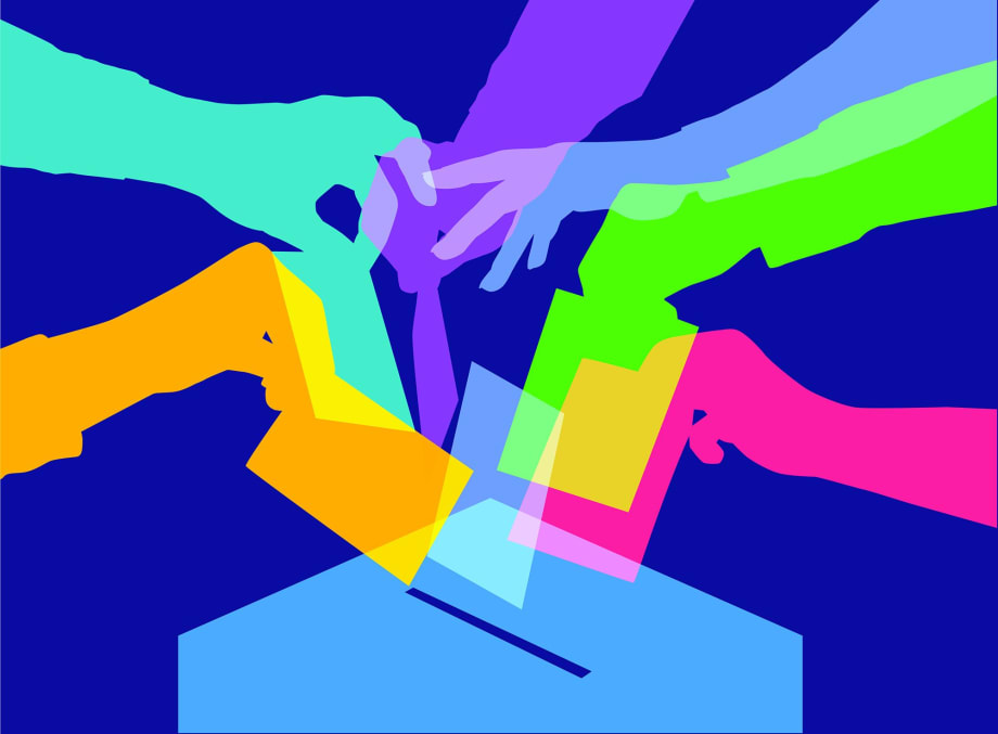 Surviving Politics in Public Fleet