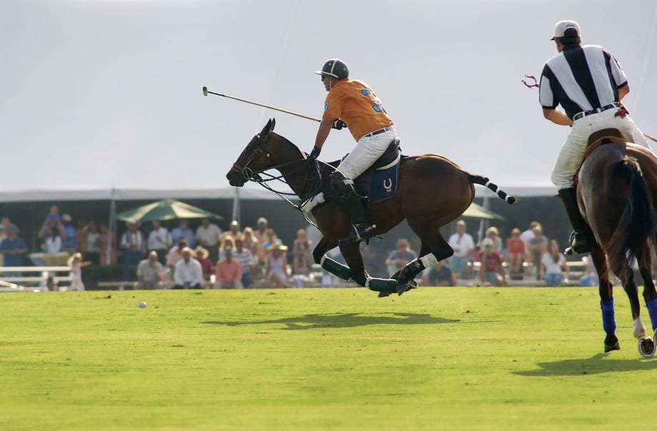 Trend Watch: Polo