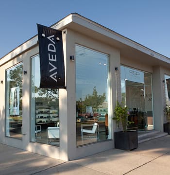Salon of Distinction: Paris Parker Prytania