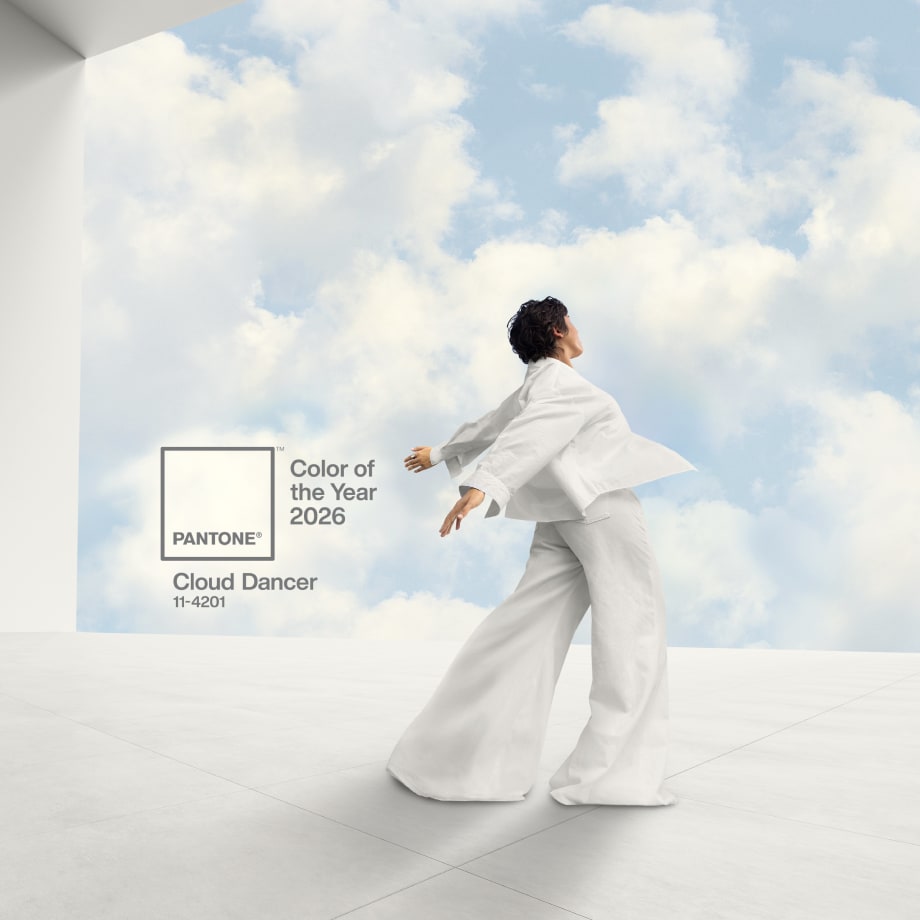 Pantone's 2026 Color of the Year is 11-4201 Cloud Dancer
