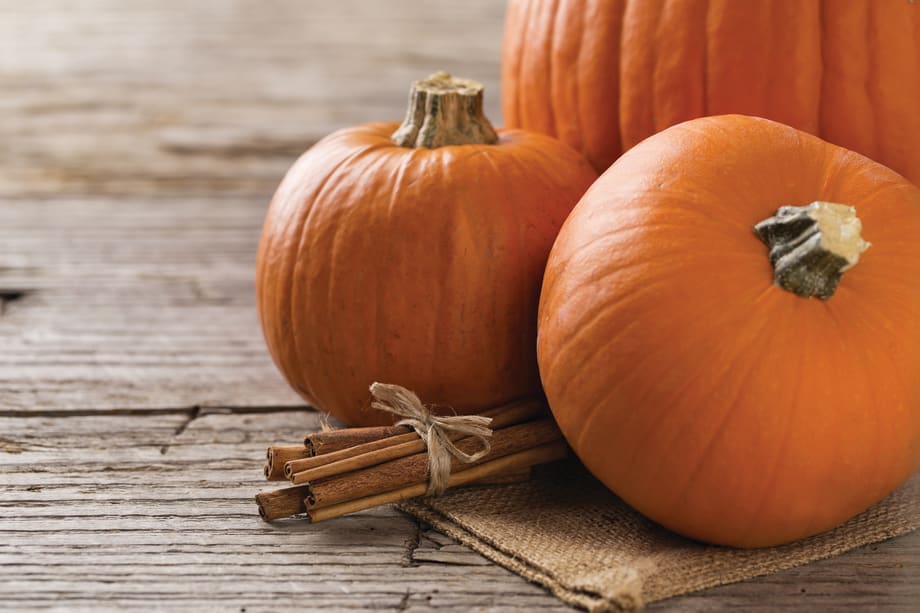 Trend Watch: Pumpkin Spice