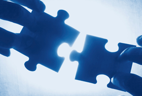 Incorporation Options: What's the Best Fit for Your Company?