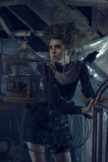 Obsession By Michael Albor