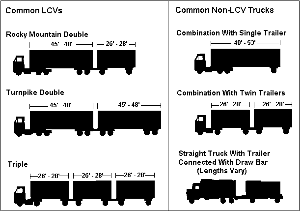 A Long History Shapes the Size and Weight Study