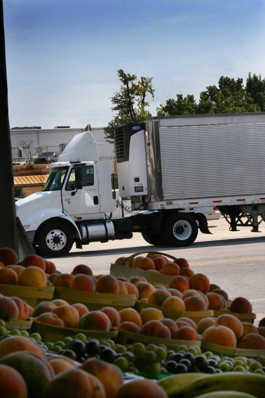 Food Safety Rules Could Create Headaches for Carriers