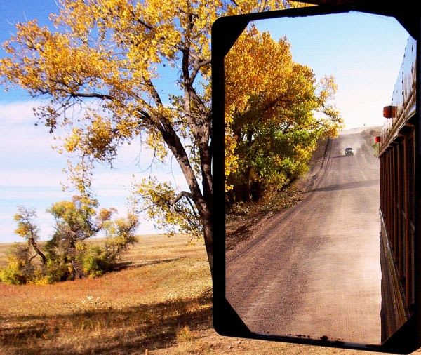 Strategic Plan Will Pave the Way to Yellow Bus’s Future