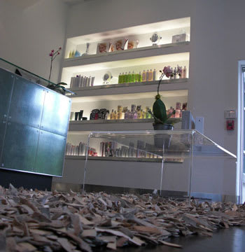 Salon of Distinction: Robert Cris Salon