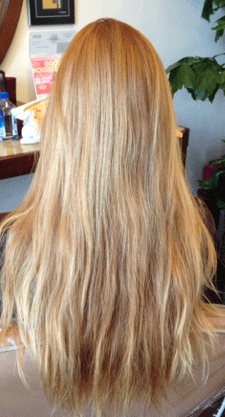 TRANSFORMATION: California Sunset Red