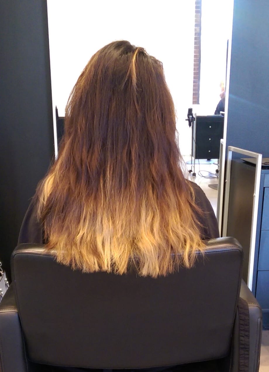 COLOR CORRECTION: Perfect Brown Dimensional Sombre