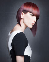 US Finalists for the 2014 Goldwell Color Zoom Challenge Announced