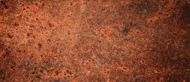 Trend Watch: Rust