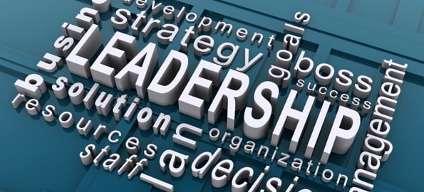 “Help, I’ve Fallen. Is There a Leader Around Who can Help me get Back Up?”