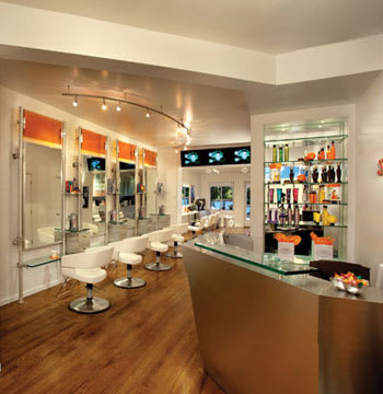 Salon of Distinction: Salon Rock