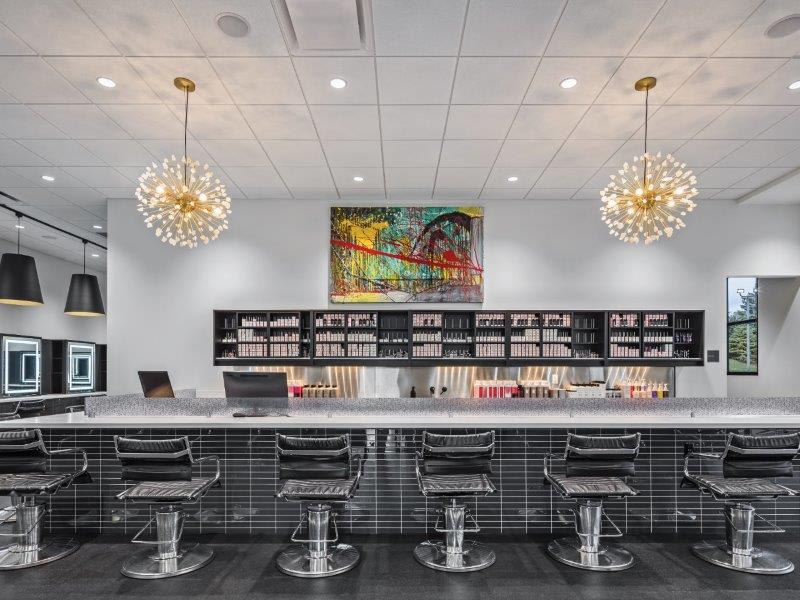 2020 Salons of the Year: PENZONE Salon + Spa Polaris