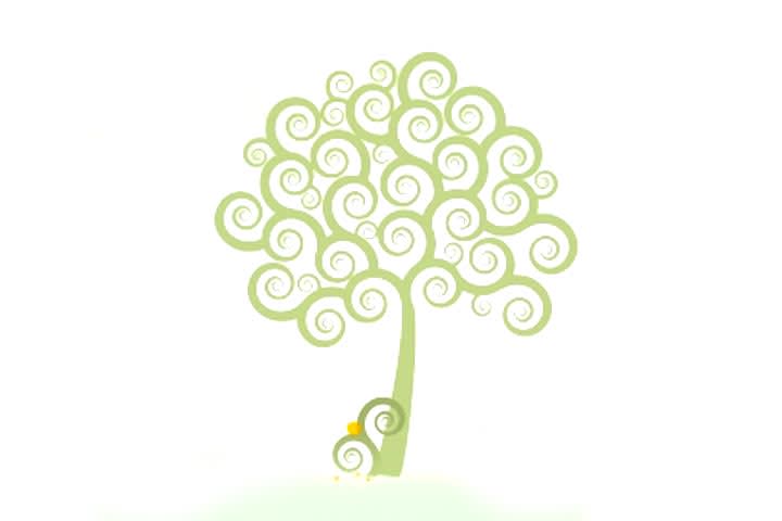 Save a Tree