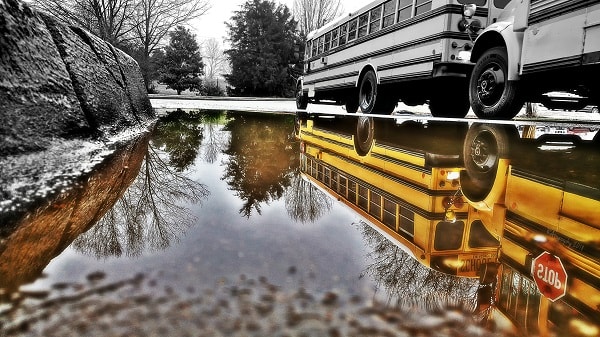 Editor's Picks 2020: Photo Galleries of the Year