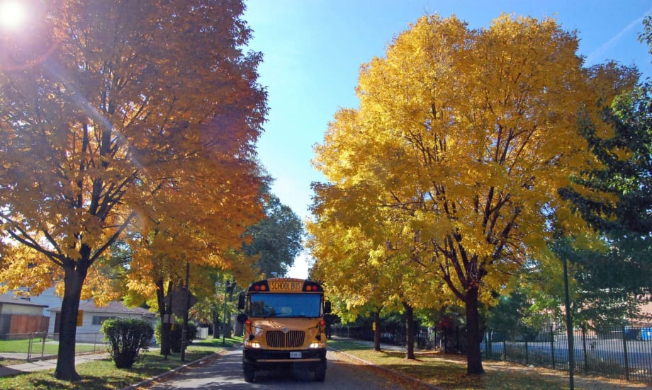 Back-to-School Planning: Minimizing COVID-19 Liability Exposure